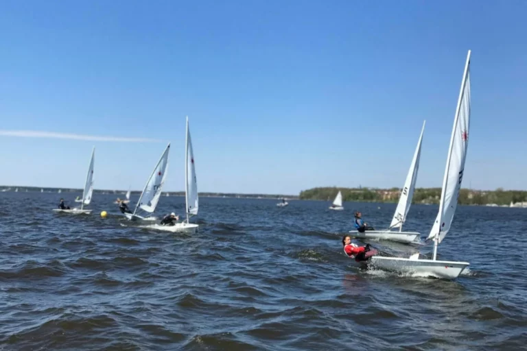 Lion Sailing półkolonie ILCA